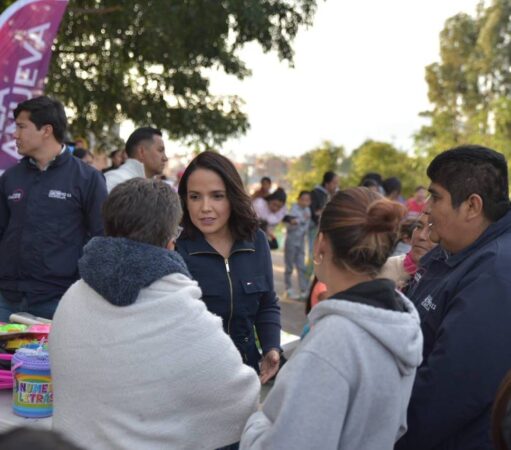 Urge definir estrategia para atención primaria de la salud mental: Andrea Villanueva