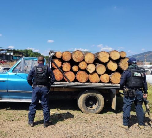 En Uruapan, SSP asegura camioneta con 48 rollos de madera, presuntamente ilegal