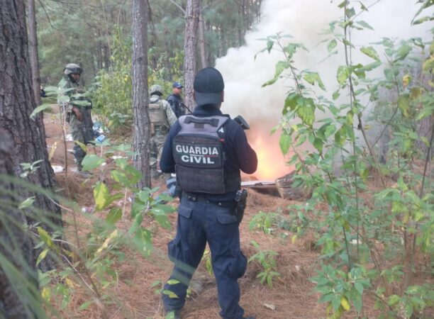 En Zitácuaro: tras operativo, SSP localiza campamento ilícito y vehículos robados