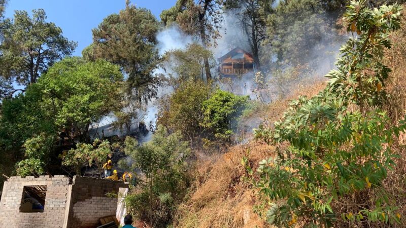 Protección Civil Municipal convoca a cuidar los bosques