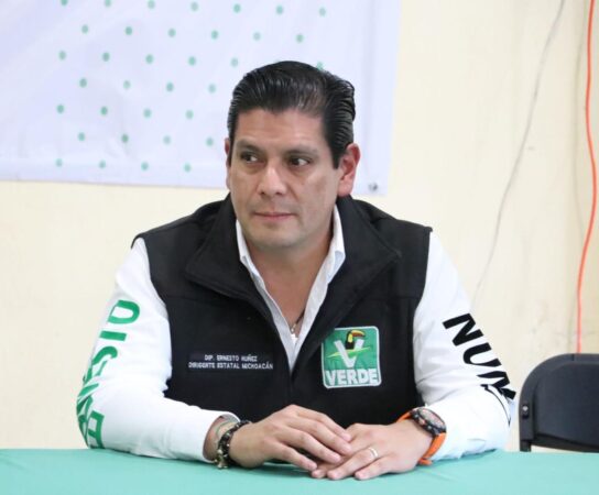 Sector educativo avanza en Michoacán: Partido Verde