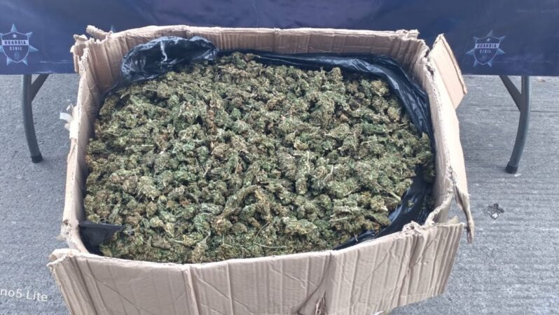 Duro golpe al tráfico de drogas: Guardia Civil asegura a cuatro con 446 dosis de metanfetamina y 22 kilos de marihuana