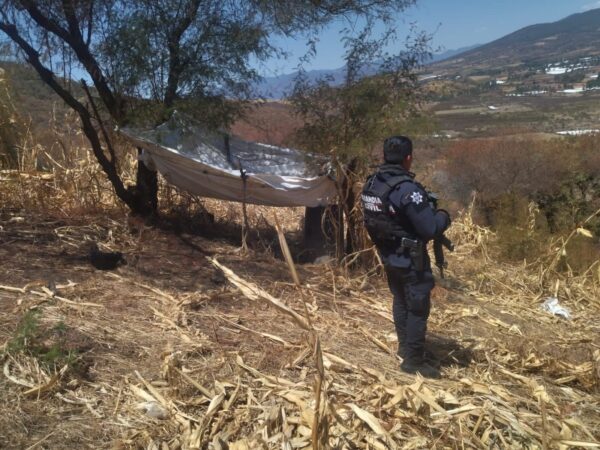 Guardia Civil, Guardia Nacional y Ejército Mexicano repelen agresión en Zitácuaro