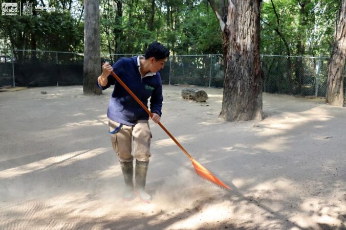 Mujeres se abren espacio en el Zoológico de Morelia