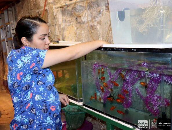 Malinallitzin, una mujer de retos en el Zoo de Morelia