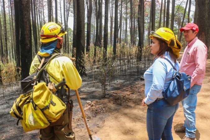 Mantiene Seduma acciones para prevenir incendios forestales