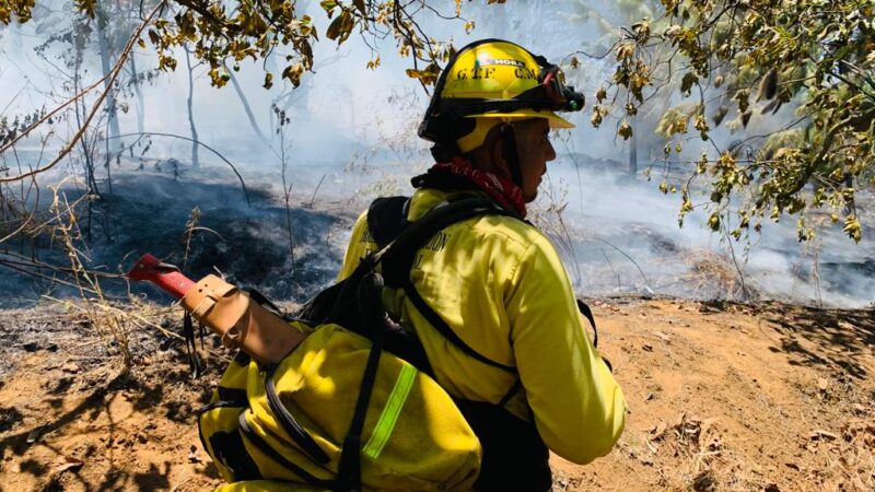 Brigadas forestales, en alerta máxima ante ola de calor