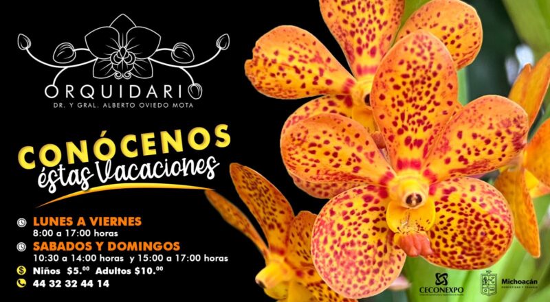 Descubre la magia del Orquidario de Morelia estas vacaciones