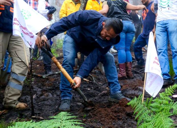 Encabeza Torres Piña reforestación en cerro La Mezcalera