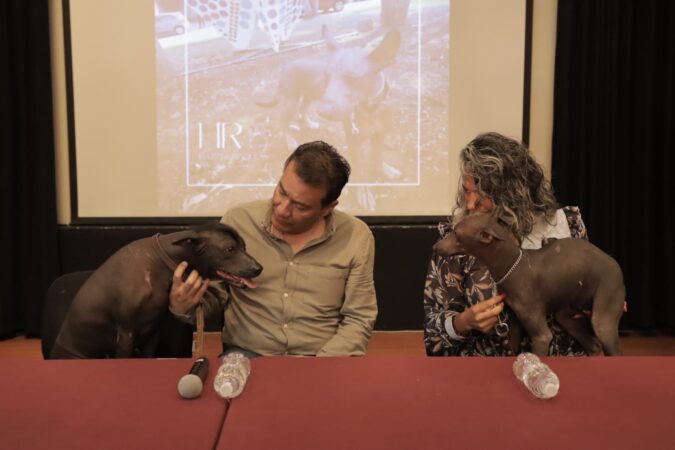 Sectur invita a conocer todo sobre la raza xoloitzcuintle en el Xolo Fest 2023