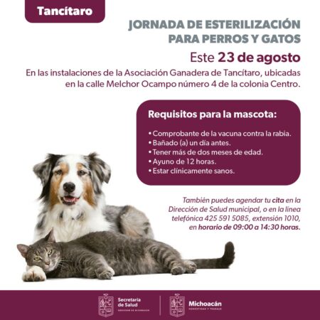 Anuncia SSM jornada gratuita de esterilización canina y felina en Tancítaro