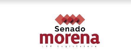 Las finanzas públicas se mantienen sanas, expone Ramírez de la O en plenaria de senadores de Morena