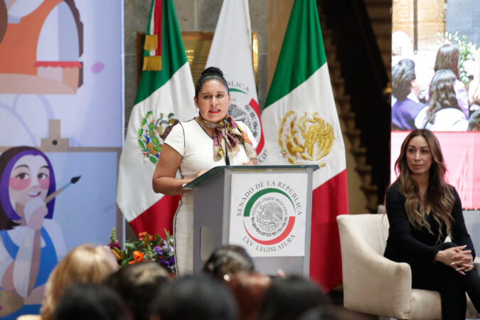 Versión estenográfica de la presentación del proyecto “Por el Derecho a una vida libre de Violencias”, que presenta la senadora Mónica Fernández Balboa, presidenta de la Comisión de Gobernación del Senado de la República.