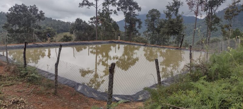 En Madero, asegura FGE predio relacionado en delitos contra el ambiente