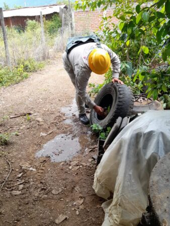 SSM protege contra el dengue a población de Buenavista