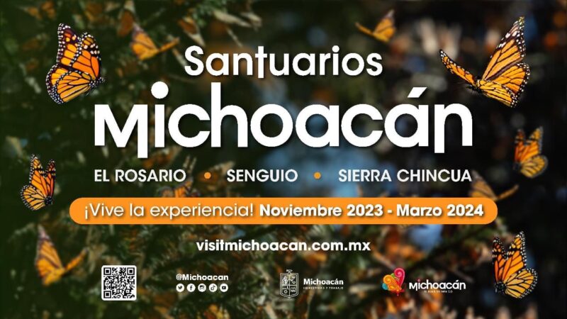 Se espera medio millón de visitantes en santuarios de la Monarca: Sectur