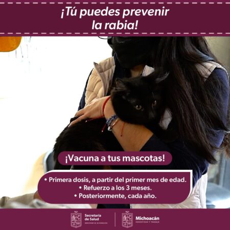 Permanente, vacunación antirrábica canina y felina en Morelia: SSM