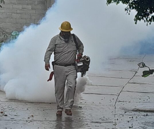 Mantener patios limpios, la clave para combatir el dengue: SSM