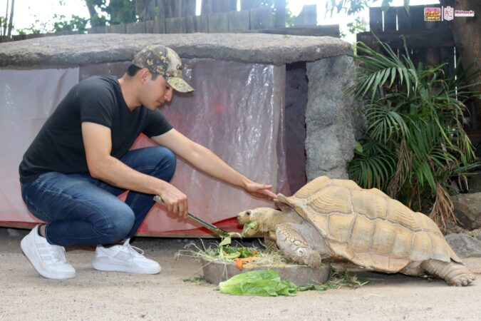 Zoo de Morelia amplía su horario en vacaciones decembrinas