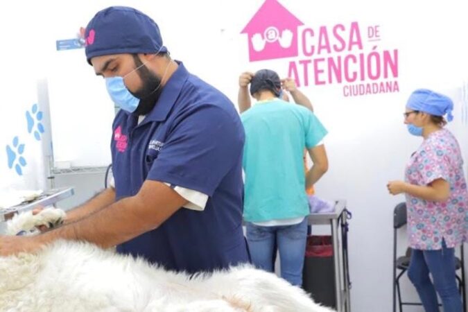 Esterilizaciones y consultas veterinarias ofrece la agrupación Mano a Mano en Morelia