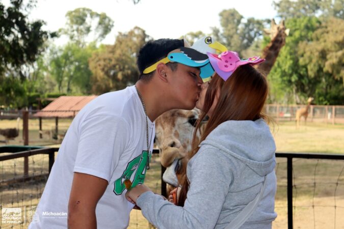 ¿Sin planes para celebrar el amor? Habrá bodas y cena romántica en el Zoo de Morelia