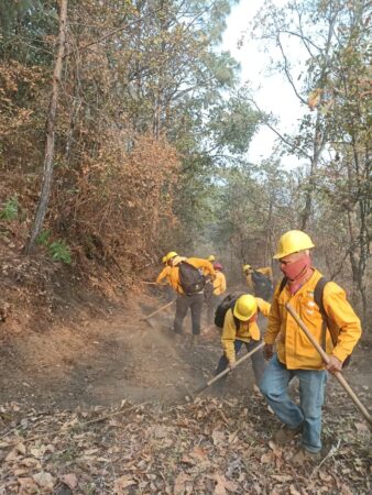 Por aire y tierra logran contener un 80 % el incendio forestal en Uruapan