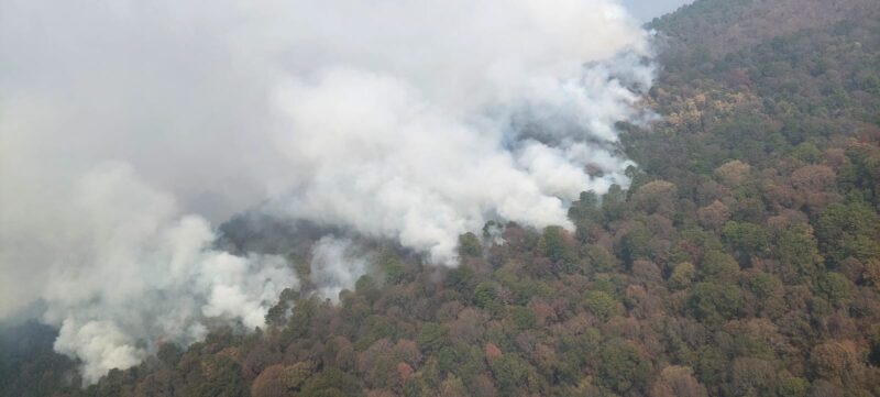 Controlado un 60 % el incendio forestal en Pátzcuaro y Salvador Escalante