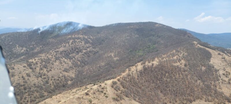Atienden por aire y tierra incendio forestal en Cerro Verde, en Morelia