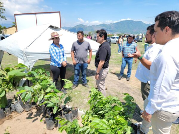 Impulsa Partido Verde creación de vivero en Coahuayana