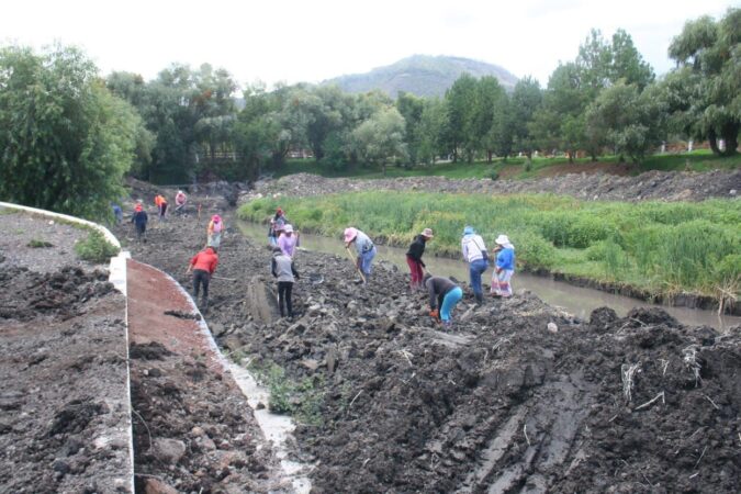 Se ampliarán empleos temporales para reforestar cuenca del lago de Pátzcuaro