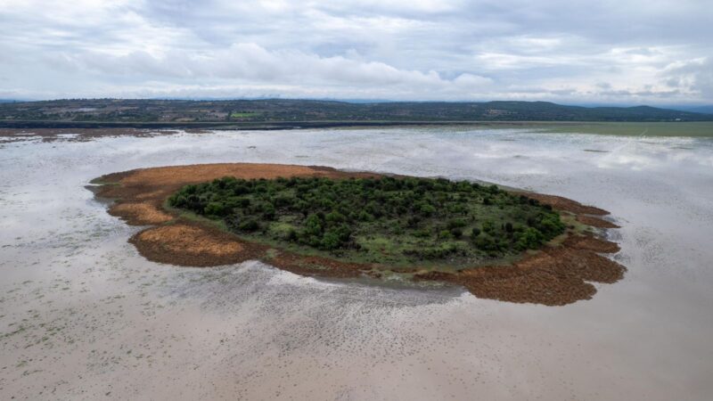 Para recuperar el lago de Cuitzeo se han invertido 200 mdp