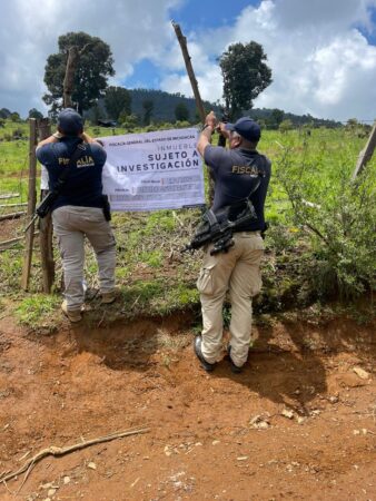 Cumplimenta FGE orden de cateo en predio relacionado en delitos contra el ambiente; se detectó tala y plantación de aguacate