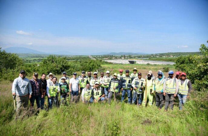 Plantan mil árboles en Área Natural Protegida de La Piedad