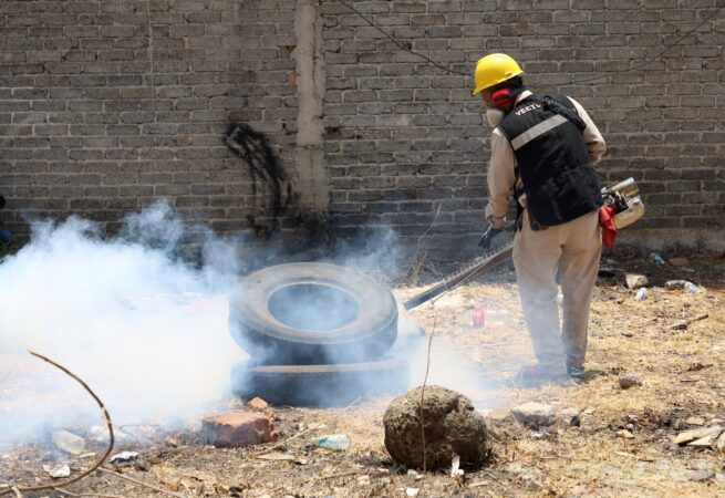 Michoacán continúa con acciones para combatir el dengue