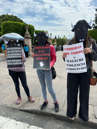  Activistas alzan la voz contra las corridas de toros en el marco del Día Internacional de los Animales