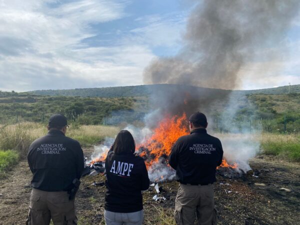 Incinera FGR más de mil kilos de drogas en Michoacán