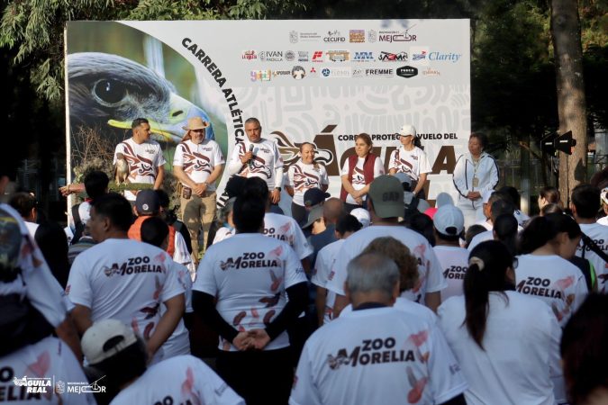 Corren en ZooMorelia por el águila real