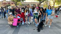  Activistas alertan sobre riesgos en reforma de protección animal 